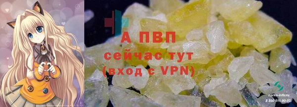 прущие крисы Беломорск