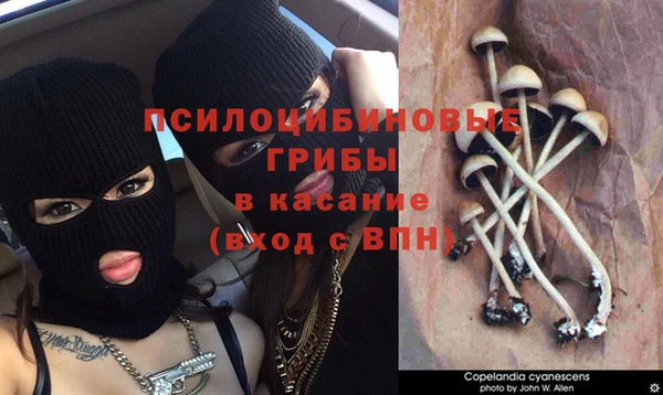 прущие крисы Беломорск